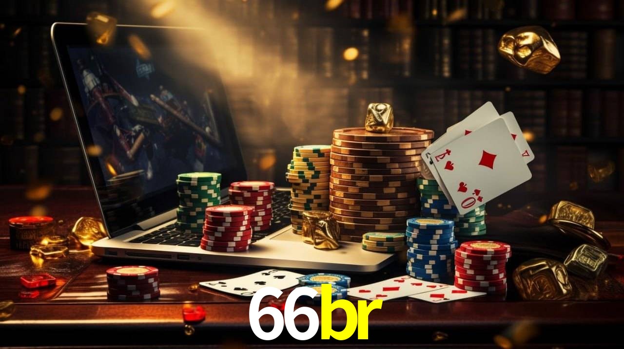 Experiência VIP 66br