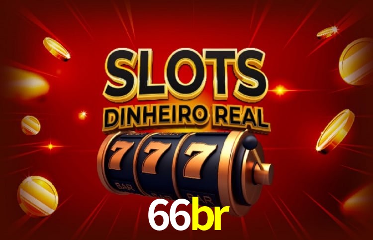 66br Salvador - Support