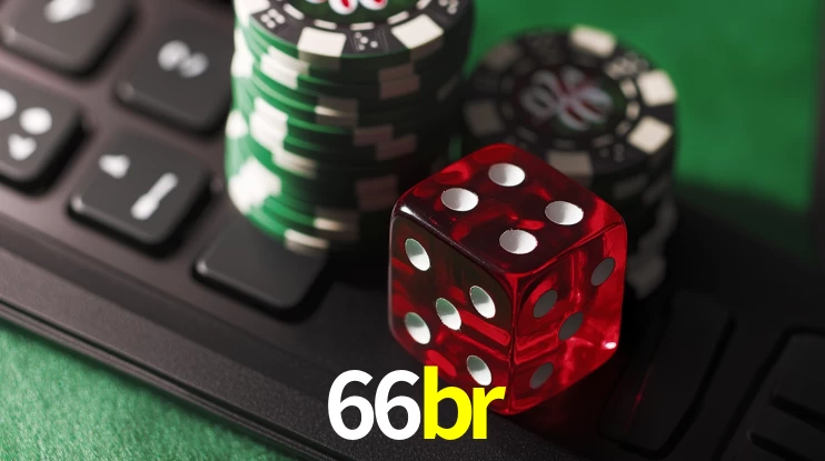 Flash Promotion 66br